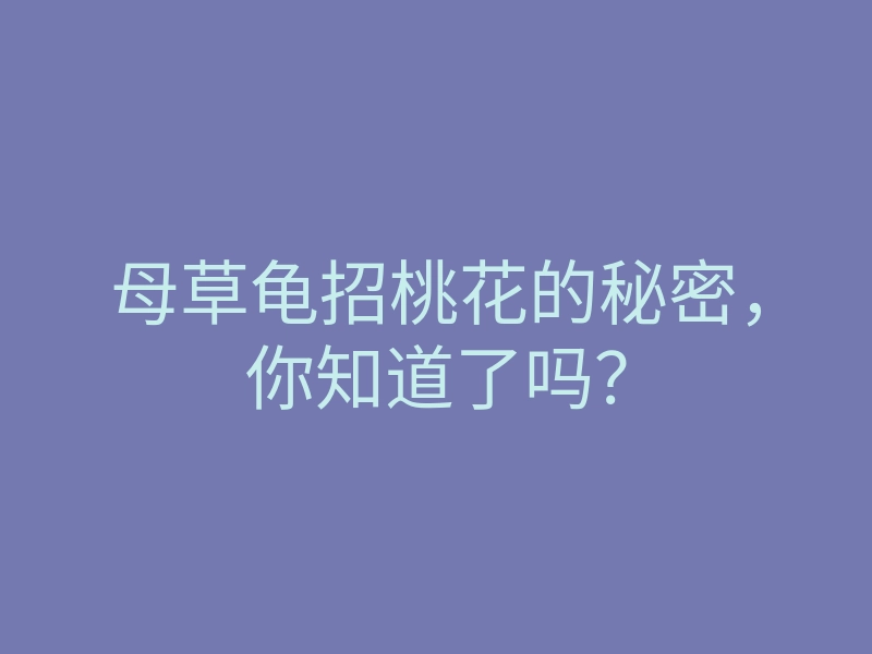 母草龟招桃花的秘密,你知道了吗?