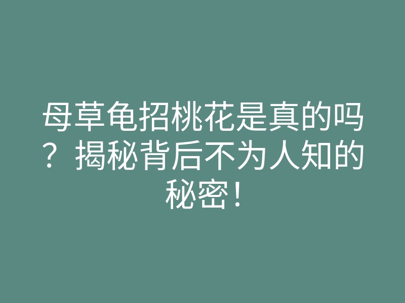 母草龟招桃花是真的吗？揭秘背后不为人知的秘密！