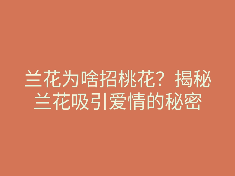 兰花为啥招桃花?揭秘兰花吸引爱情的秘密