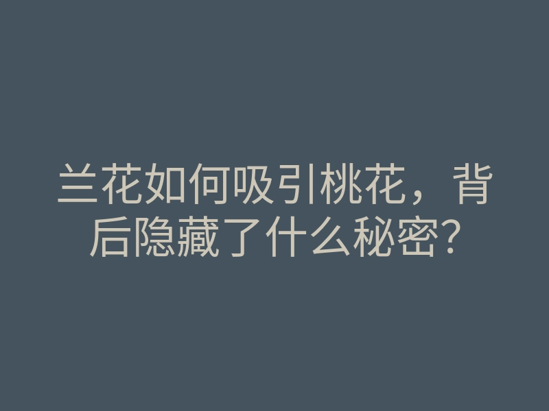 兰花如何吸引桃花,背后隐藏了什么秘密?