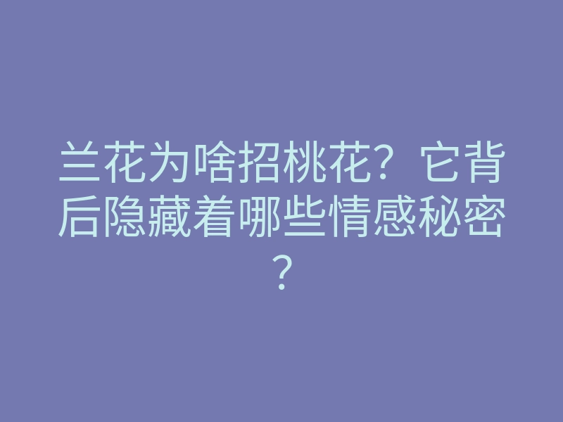兰花为啥招桃花?它背后隐藏着哪些情感秘密?