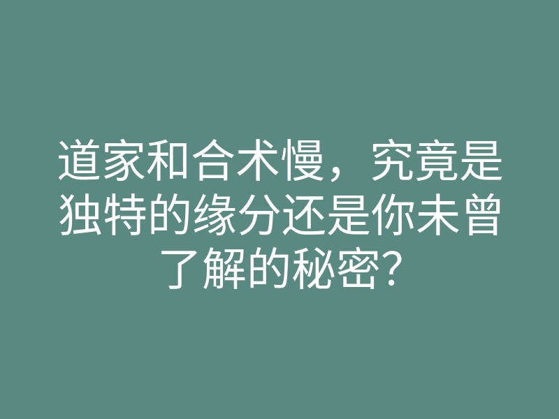道家和合术慢,究竟是独特的缘分还是你未曾了解的秘密?
