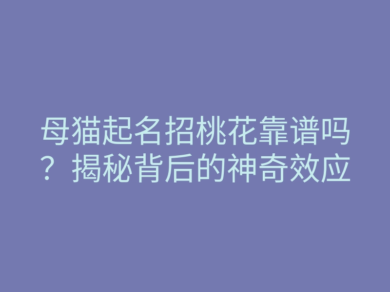 母猫起名招桃花靠谱吗?揭秘背后的神奇效应