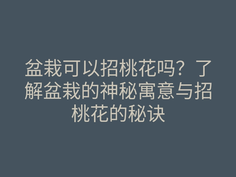 盆栽可以招桃花吗?了解盆栽的神秘寓意与招桃花的秘诀