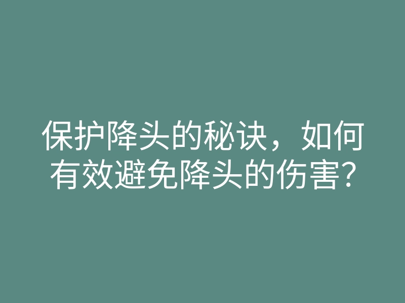 保护降头的秘诀,如何有效避免降头的伤害?