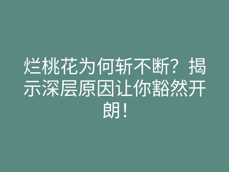 烂桃花为何斩不断?揭示深层原因让你豁然开朗!