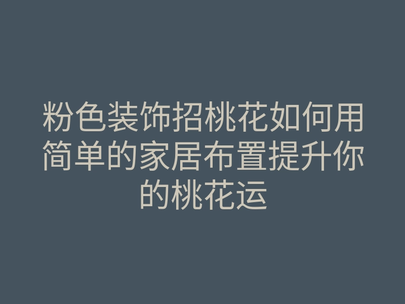 粉色装饰招桃花如何用简单的家居布置提升你的桃花运