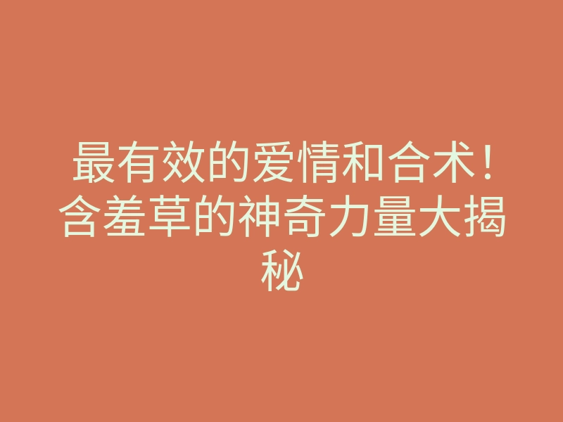 最有效的爱情和合术!含羞草的神奇力量大揭秘