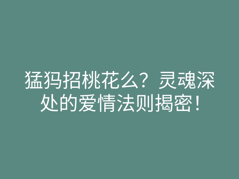 猛犸招桃花么?灵魂深处的爱情法则揭密!