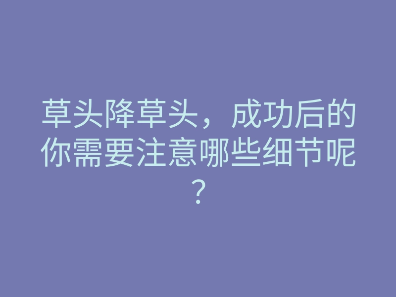 草头降草头,成功后的你需要注意哪些细节呢?