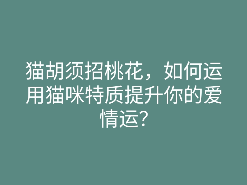 猫胡须招桃花，如何运用猫咪特质提升你的爱情运？
