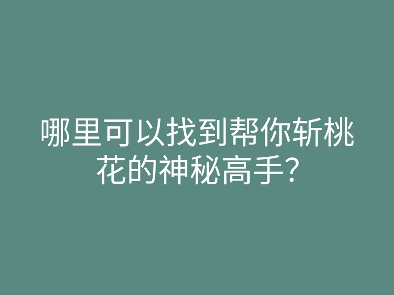 哪里可以找到帮你斩桃花的神秘高手?