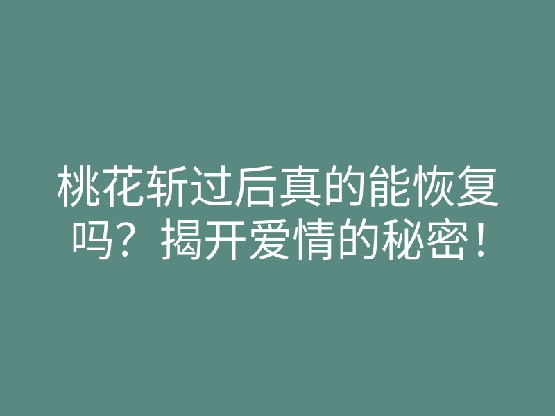桃花斩过后真的能恢复吗？揭开爱情的秘密！