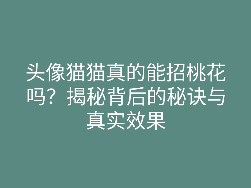 头像猫猫真的能招桃花吗?揭秘背后的秘诀与真实效果