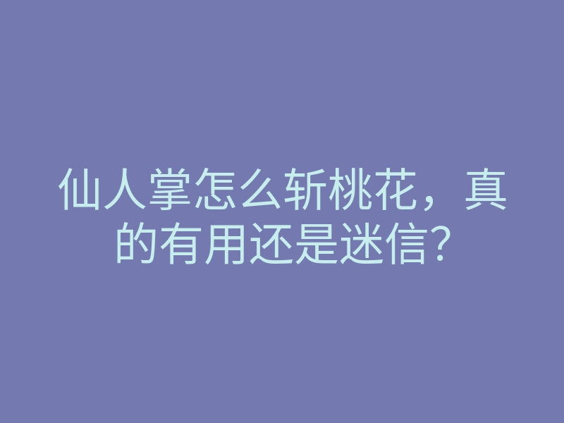 仙人掌怎么斩桃花,真的有用还是迷信?
