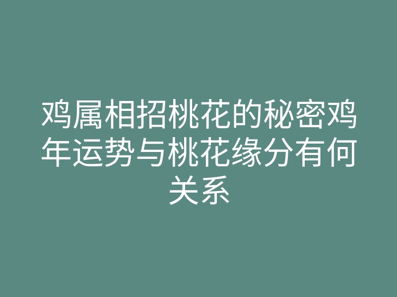 鸡属相招桃花的秘密鸡年运势与桃花缘分有何关系