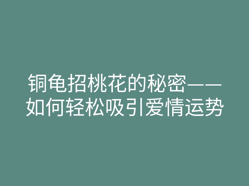 铜龟招桃花的秘密——如何轻松吸引爱情运势