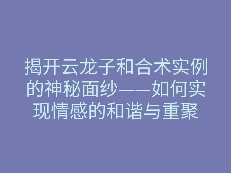 揭开云龙子和合术实例的神秘面纱——如何实现情感的和谐与重聚