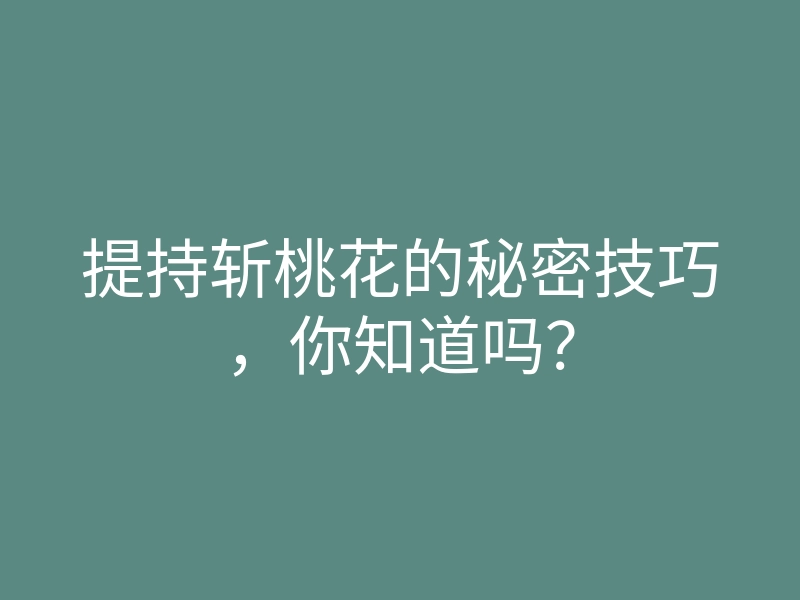提持斩桃花的秘密技巧,你知道吗?