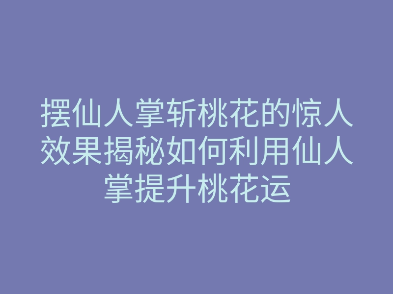 摆仙人掌斩桃花的惊人效果揭秘如何利用仙人掌提升桃花运