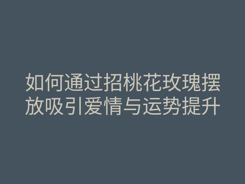 如何通过招桃花玫瑰摆放吸引爱情与运势提升