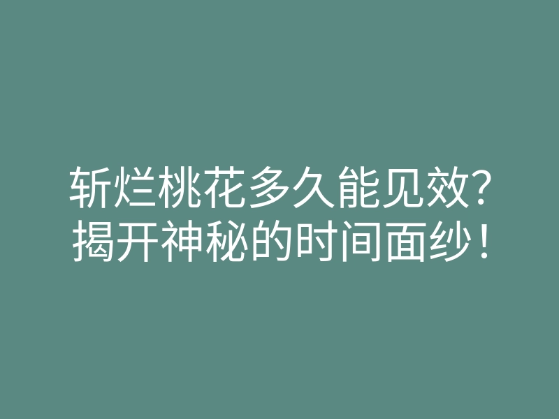 斩烂桃花多久能见效?揭开神秘的时间面纱!