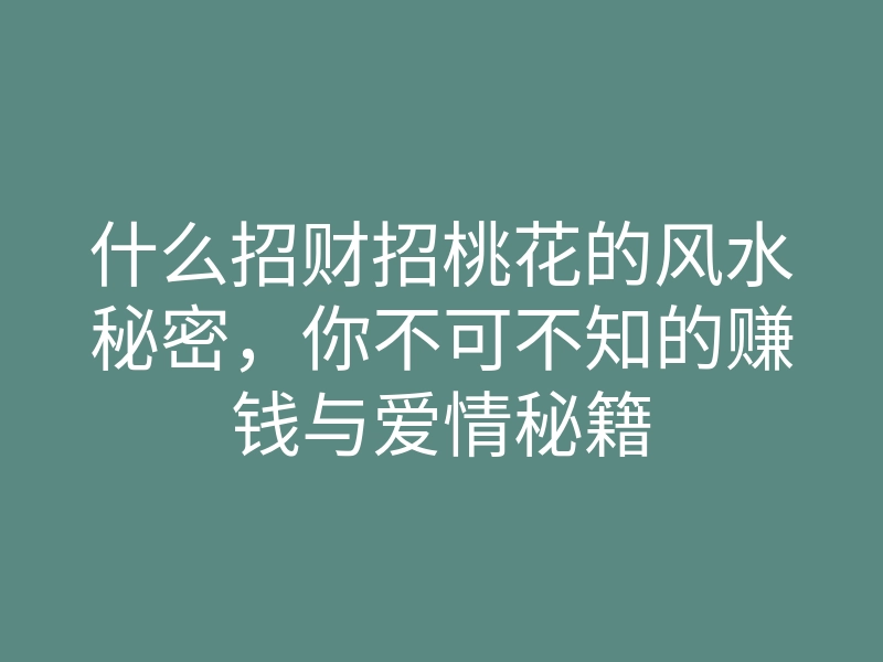 什么招财招桃花的风水秘密,你不可不知的赚钱与爱情秘籍
