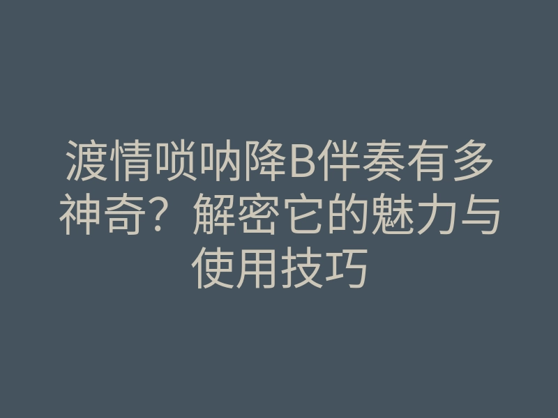 渡情唢呐降B伴奏有多神奇?解密它的魅力与使用技巧