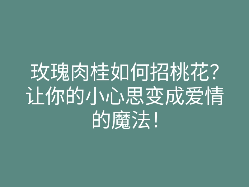 玫瑰肉桂如何招桃花?让你的小心思变成爱情的魔法!