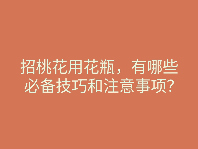 招桃花用花瓶，有哪些必备技巧和注意事项？