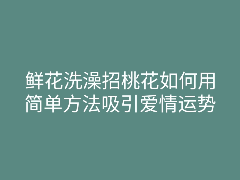 鲜花洗澡招桃花如何用简单方法吸引爱情运势