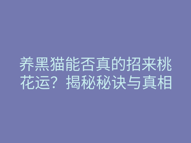 养黑猫能否真的招来桃花运?揭秘秘诀与真相