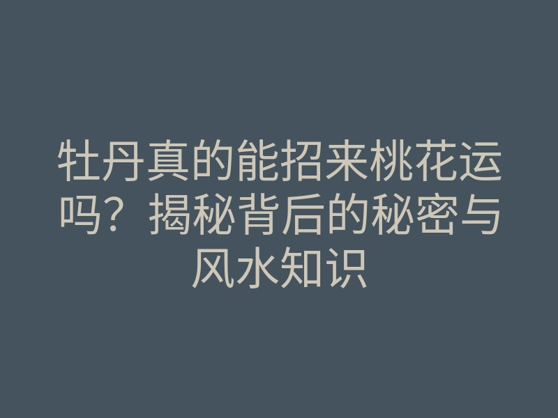 牡丹真的能招来桃花运吗？揭秘背后的秘密与风水知识