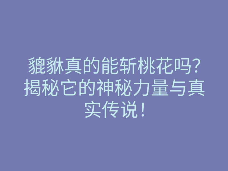 貔貅真的能斩桃花吗?揭秘它的神秘力量与真实传说!