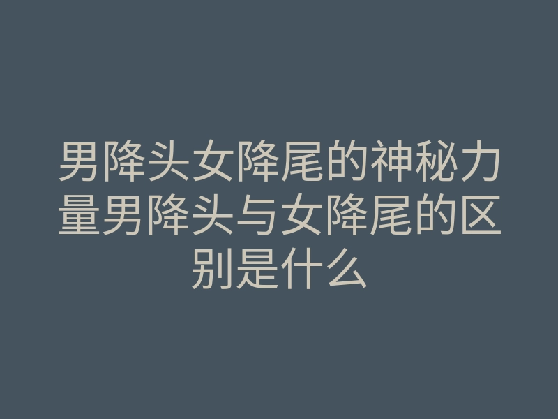 男降头女降尾的神秘力量男降头与女降尾的区别是什么