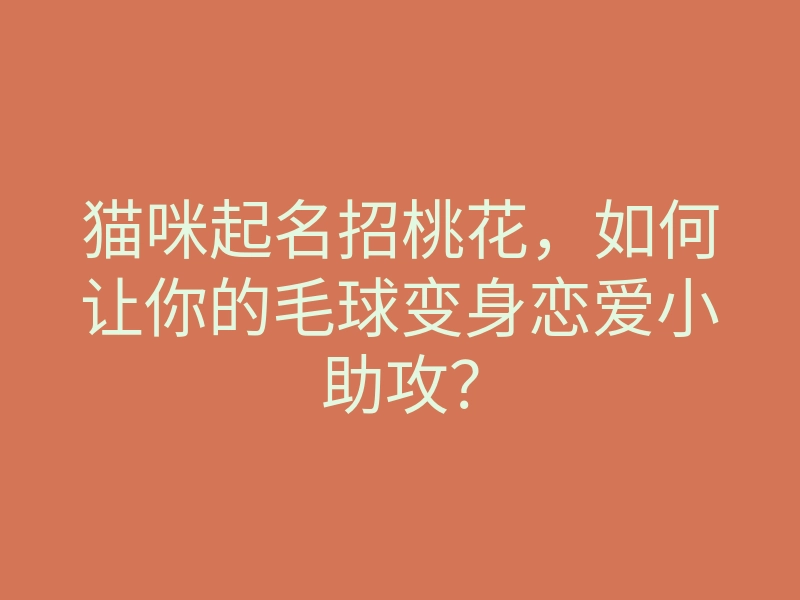猫咪起名招桃花，如何让你的毛球变身恋爱小助攻？