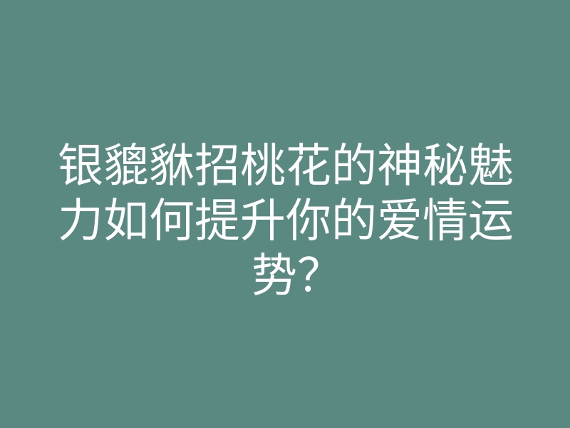 银貔貅招桃花的神秘魅力如何提升你的爱情运势?
