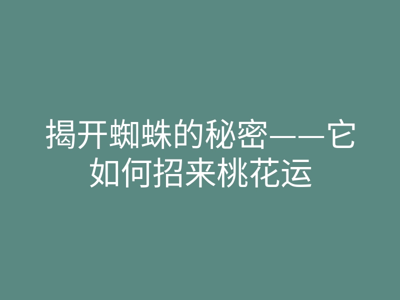 揭开蜘蛛的秘密——它如何招来桃花运