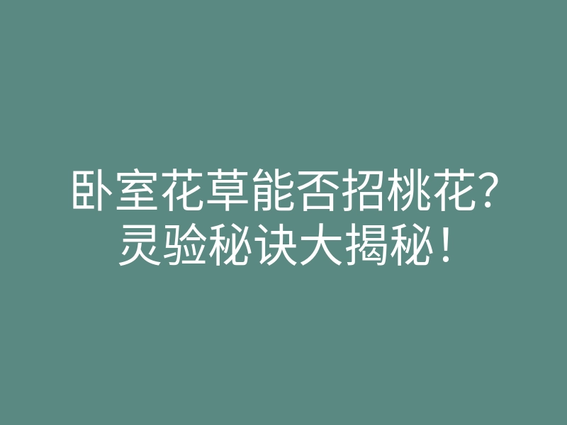 卧室花草能否招桃花?灵验秘诀大揭秘!