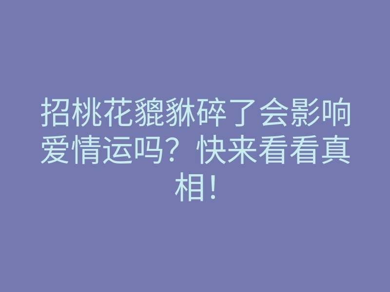 招桃花貔貅碎了会影响爱情运吗?快来看看真相!