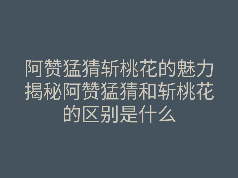 阿赞猛猜斩桃花的魅力揭秘阿赞猛猜和斩桃花的区别是什么