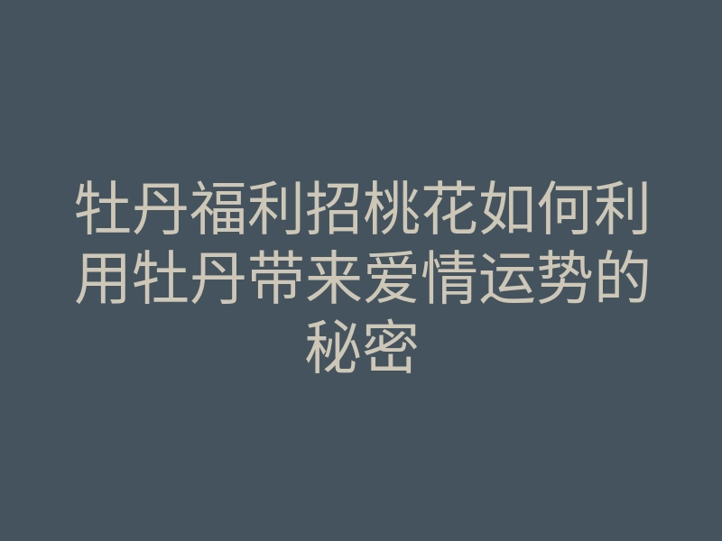 牡丹福利招桃花如何利用牡丹带来爱情运势的秘密