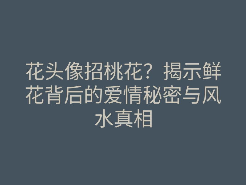 花头像招桃花?揭示鲜花背后的爱情秘密与风水真相