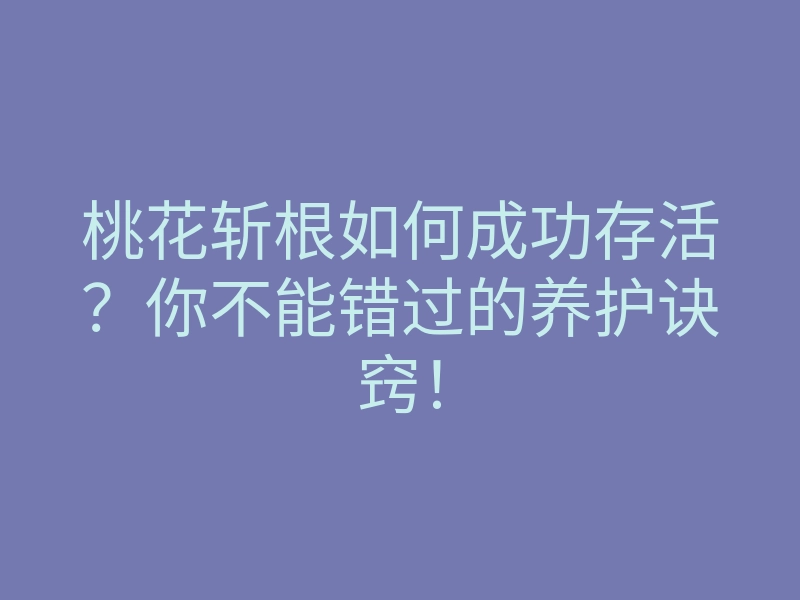 桃花斩根如何成功存活?你不能错过的养护诀窍!