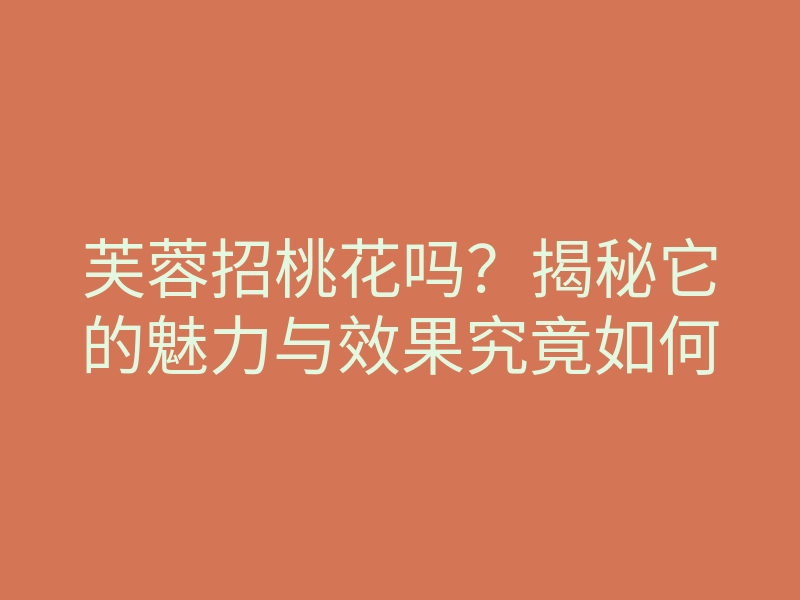 芙蓉招桃花吗?揭秘它的魅力与效果究竟如何