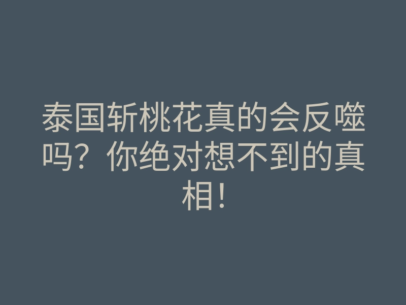 泰国斩桃花真的会反噬吗？你绝对想不到的真相！