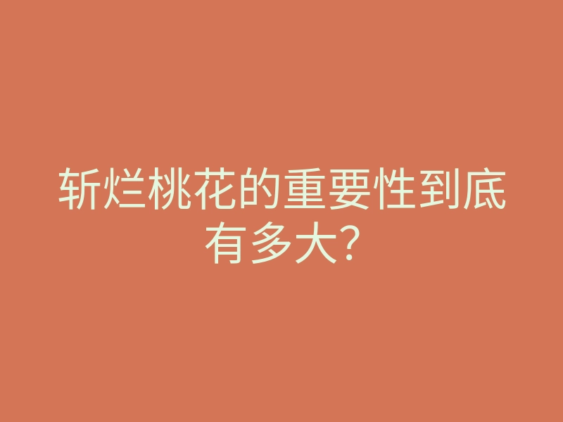 斩烂桃花的重要性到底有多大？