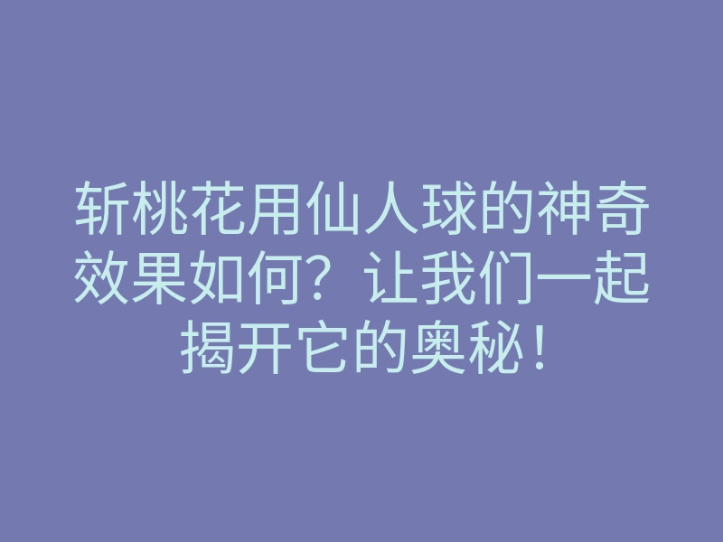 斩桃花用仙人球的神奇效果如何?让我们一起揭开它的奥秘!