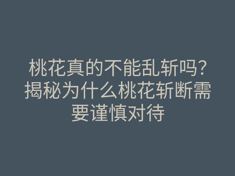 桃花真的不能乱斩吗？揭秘为什么桃花斩断需要谨慎对待