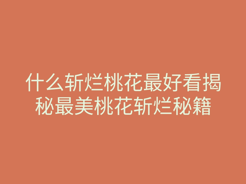 什么斩烂桃花最好看揭秘最美桃花斩烂秘籍